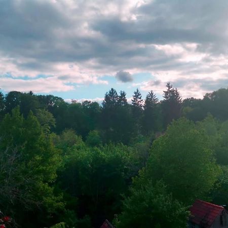 Ferienwohnung Im Manbach Freudenstadt Eksteriør bilde