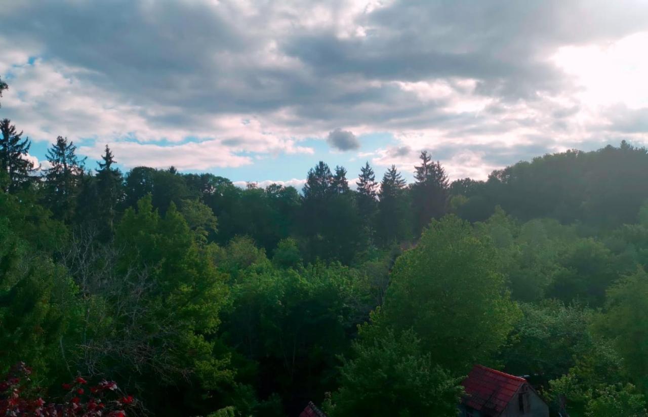 Ferienwohnung Im Manbach Freudenstadt Eksteriør bilde